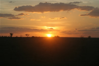 Foto escursioni Kenya