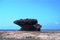 Foto escursioni Kenya