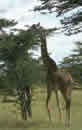 Foto escursioni Kenya