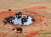 Foto escursioni Kenya