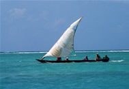 Foto escursioni Kenya