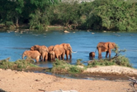 Foto escursioni Kenya