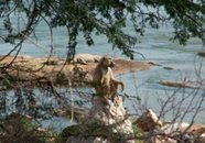Foto escursioni Kenya