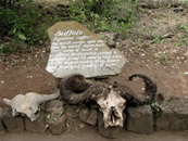 Foto escursioni Kenya